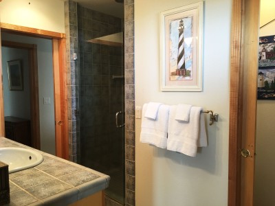 Downstairs bathroom with walk-in shower