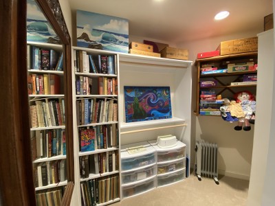 Books, games and toys in the upstairs Bedroom/Media Room closet.